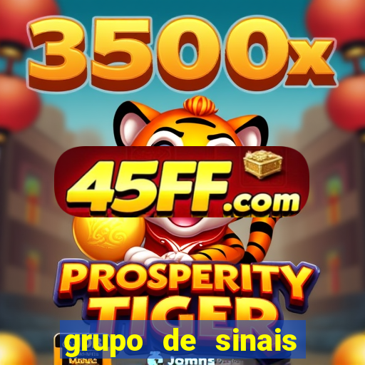 grupo de sinais fortune rabbit